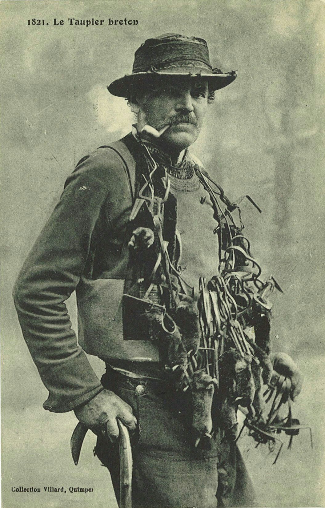 Le Taupier breton