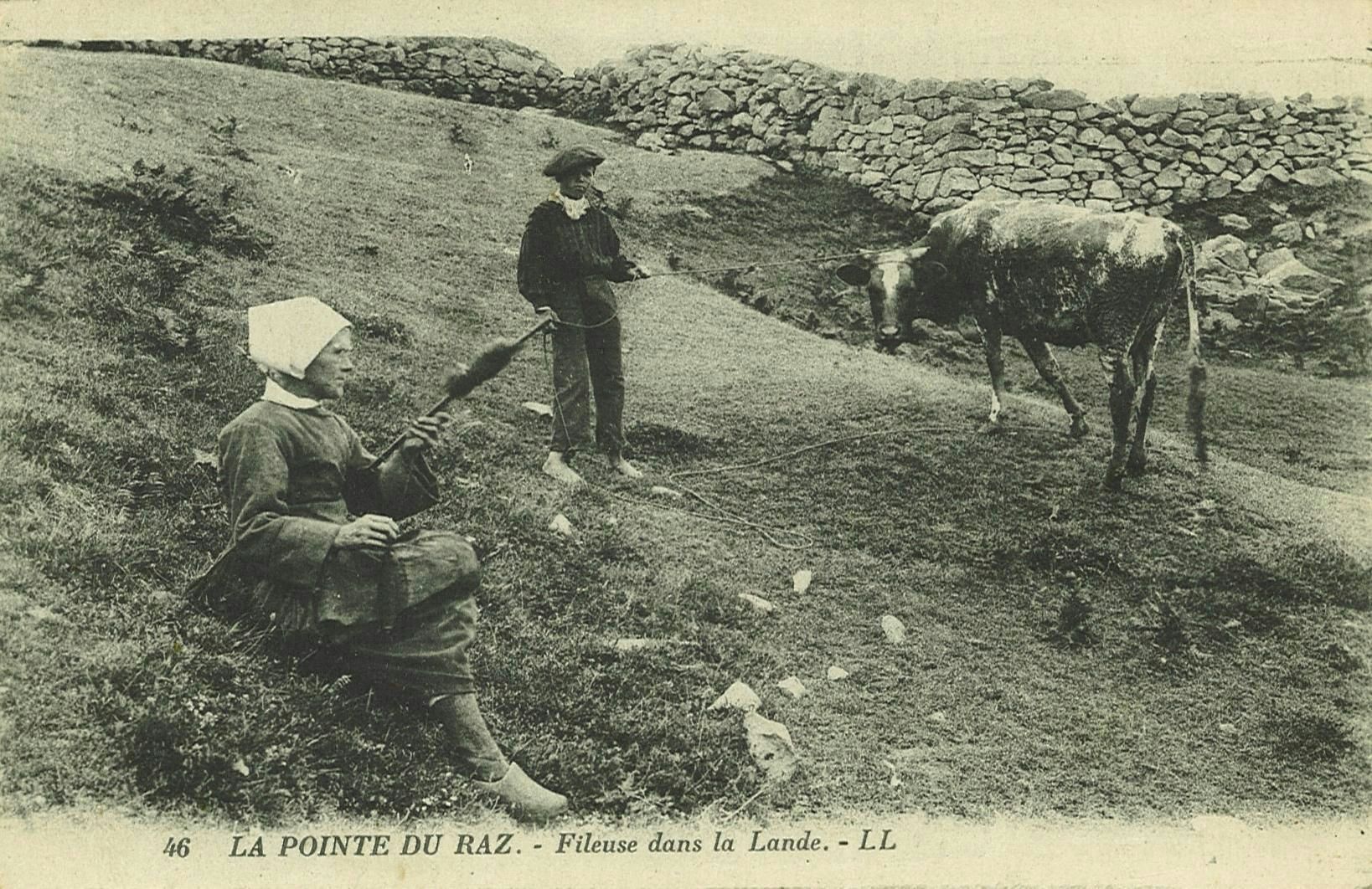 La Pointe du Raz. Fileuse dans la Lande