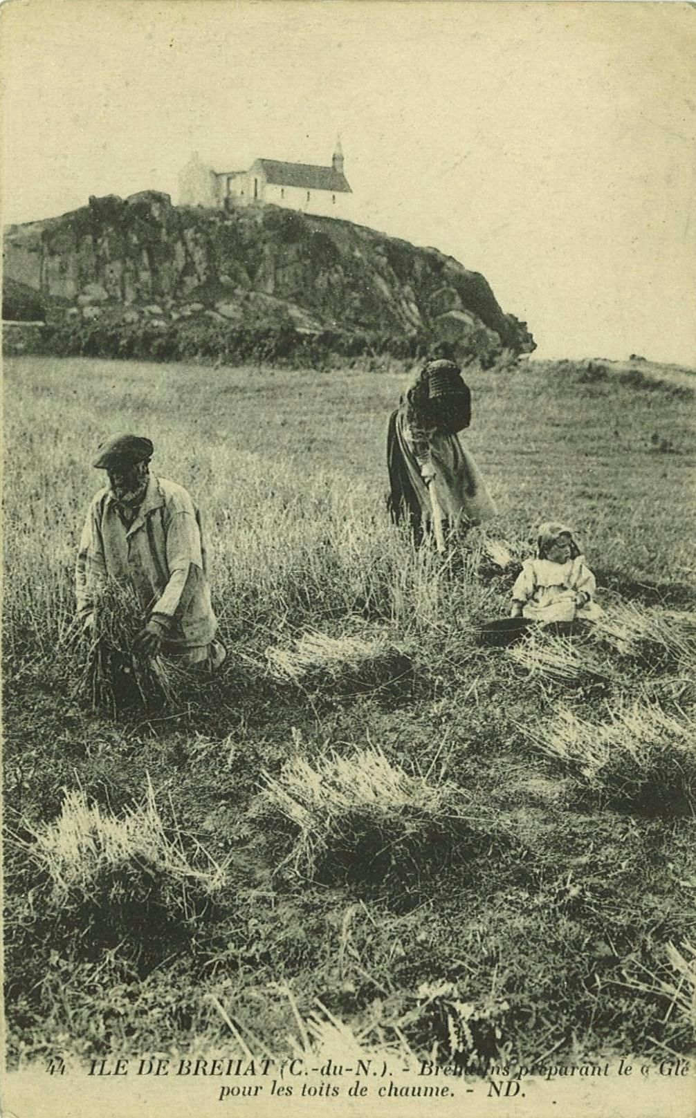 Bréhatins préparant le Glé pour les toits de chaume