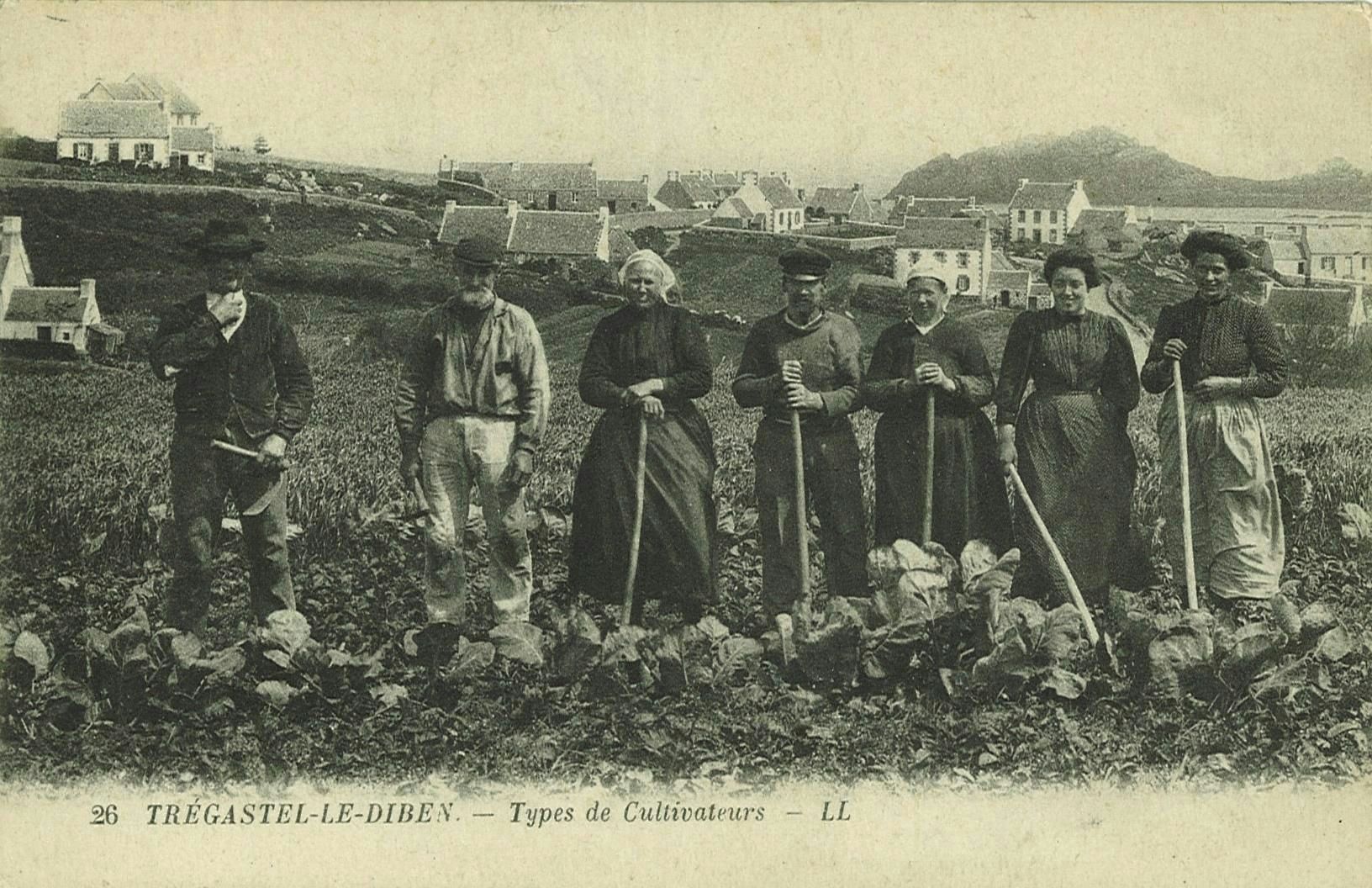 Types de Cultivateurs
