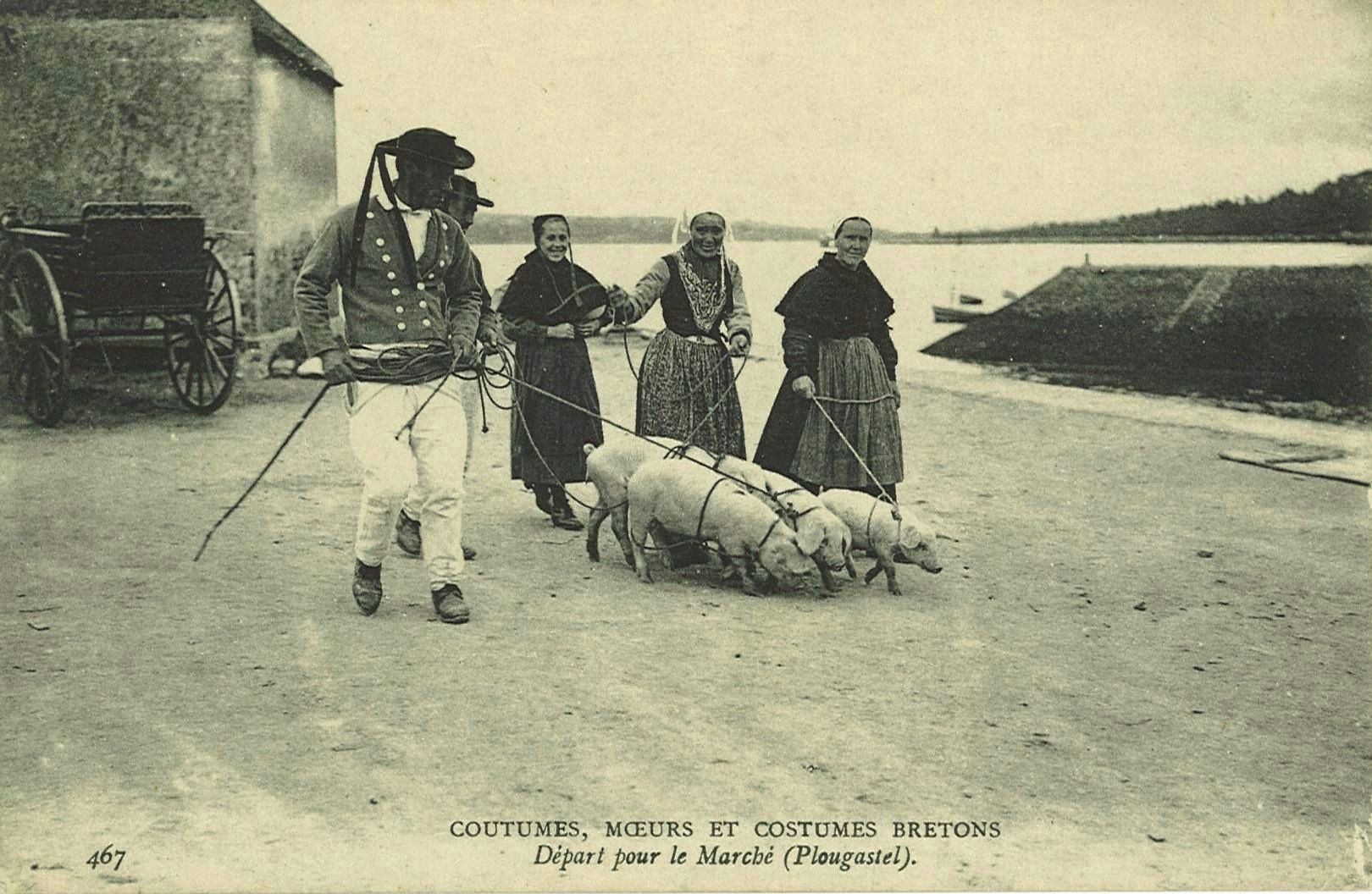 Départ pour le marché