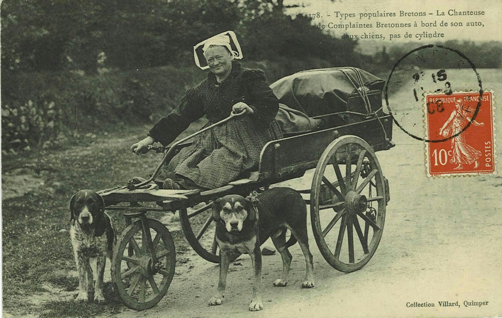 La Chanteuse de Complaintes Bretonnes à bord de son auto deux chiens pas de cylindre