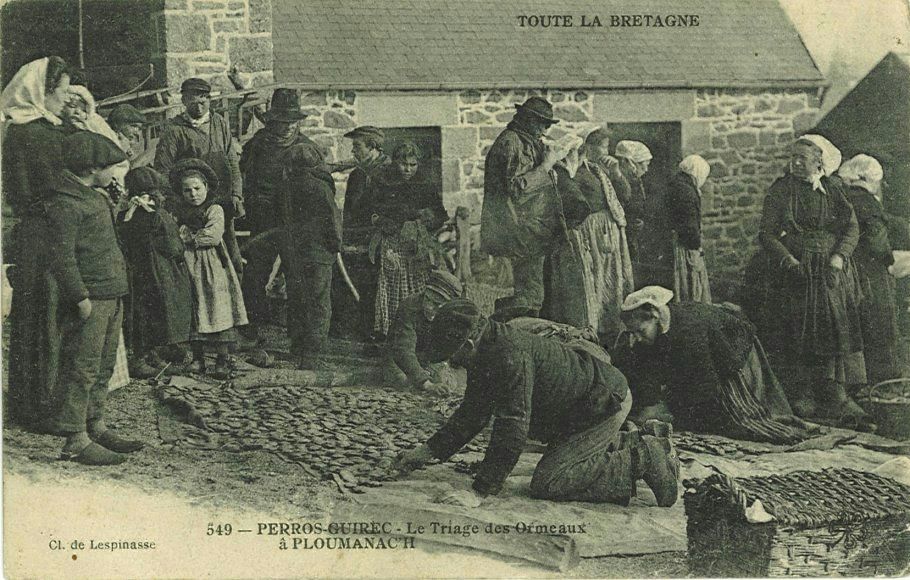 Le Triage des Ormeaux à PLOUMANAC'H