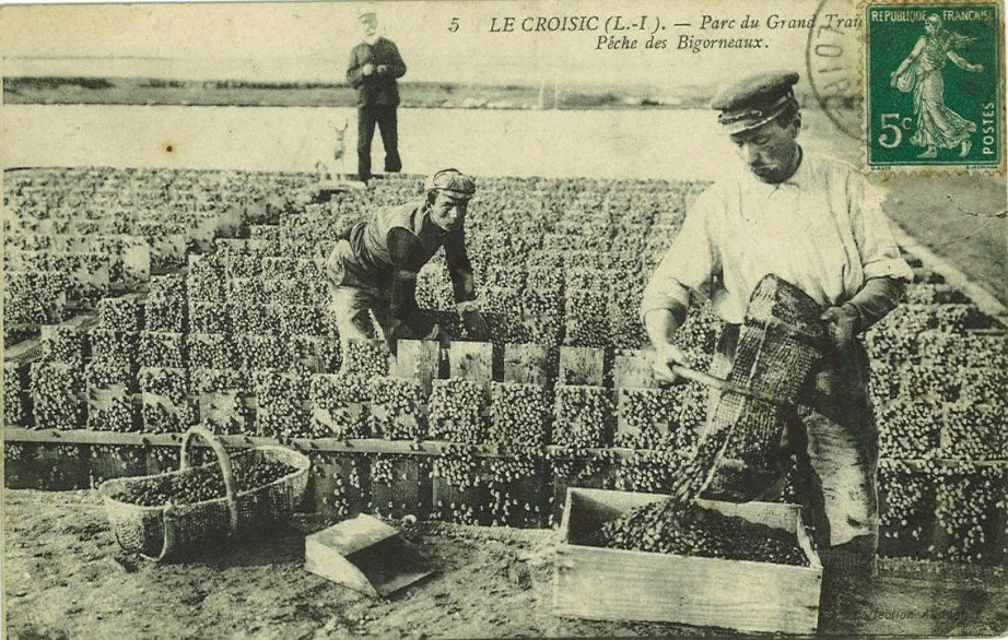 Parc du Grand Traict - Pêche des Bigorneaux