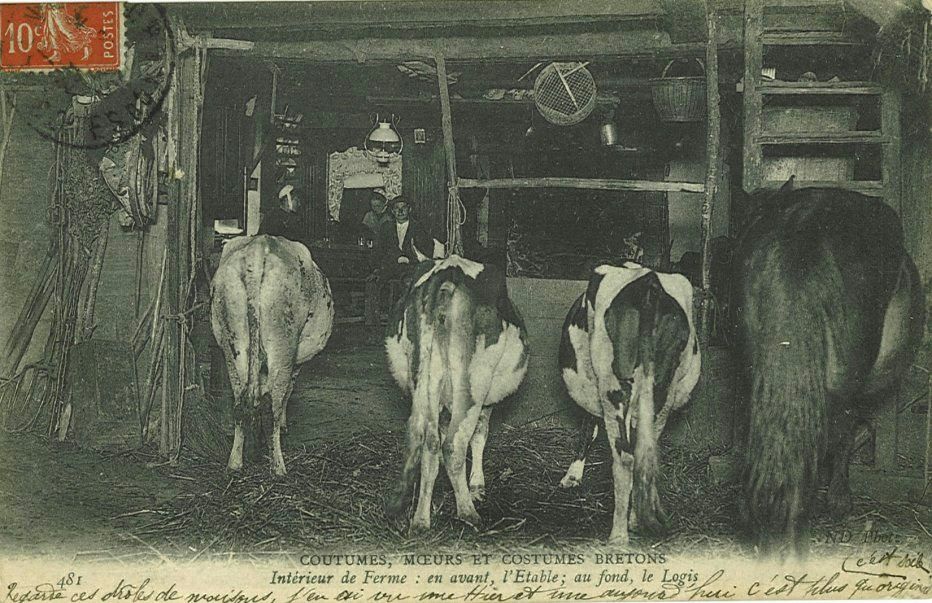 Intérieur de Ferme : en avant l'Etable ; au fond le Logis