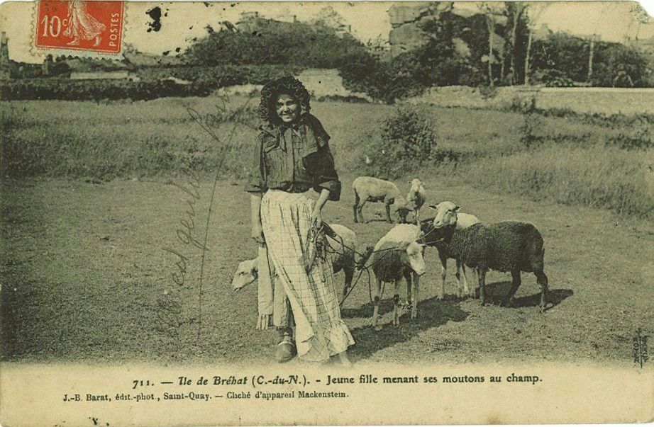 Jeune fille menant ses moutons au champ