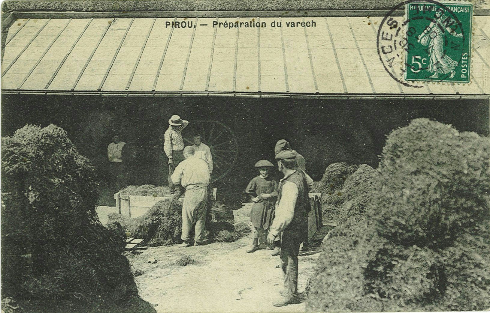 Préparation du varech