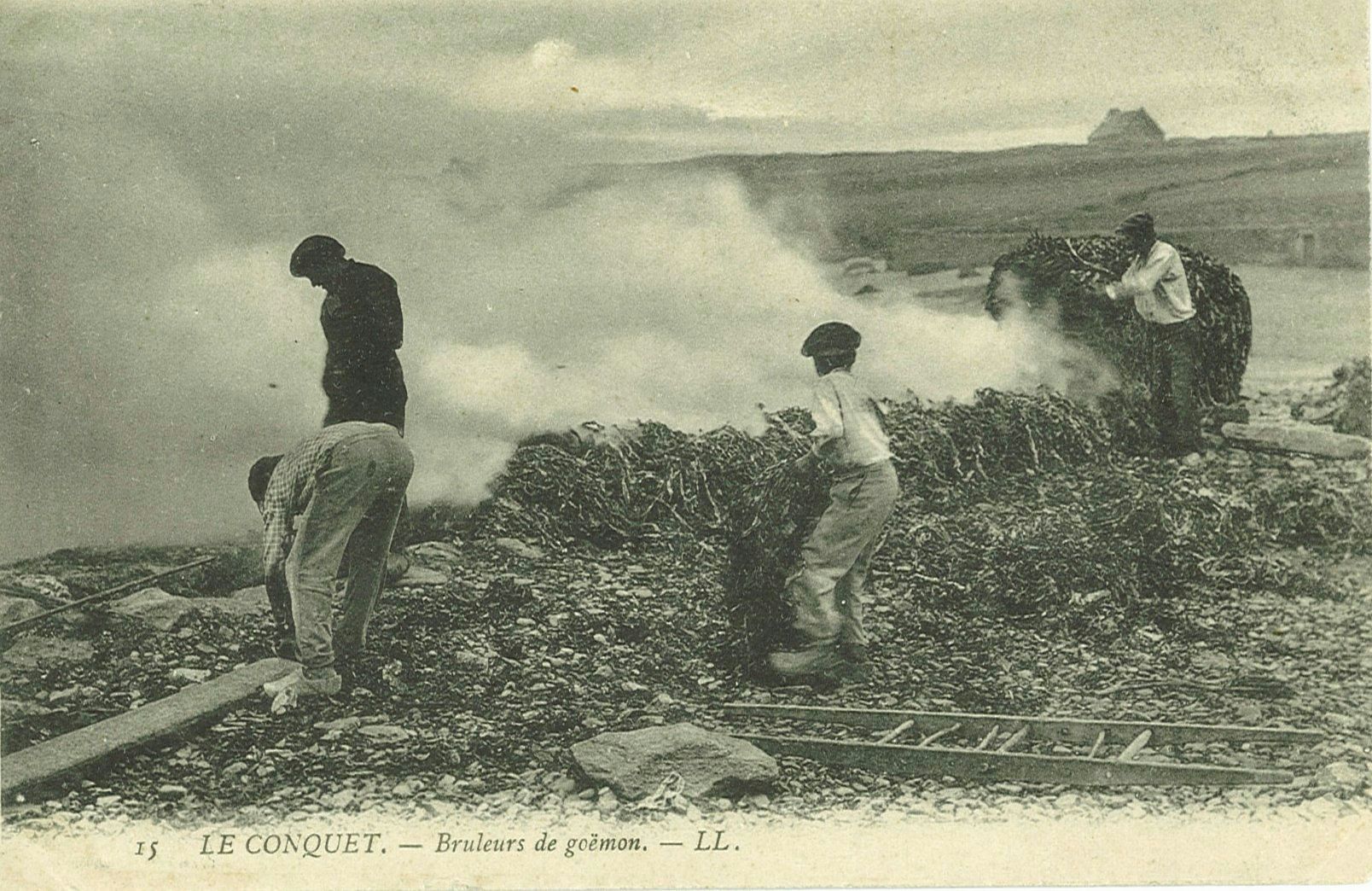 Brûleurs de goëmon