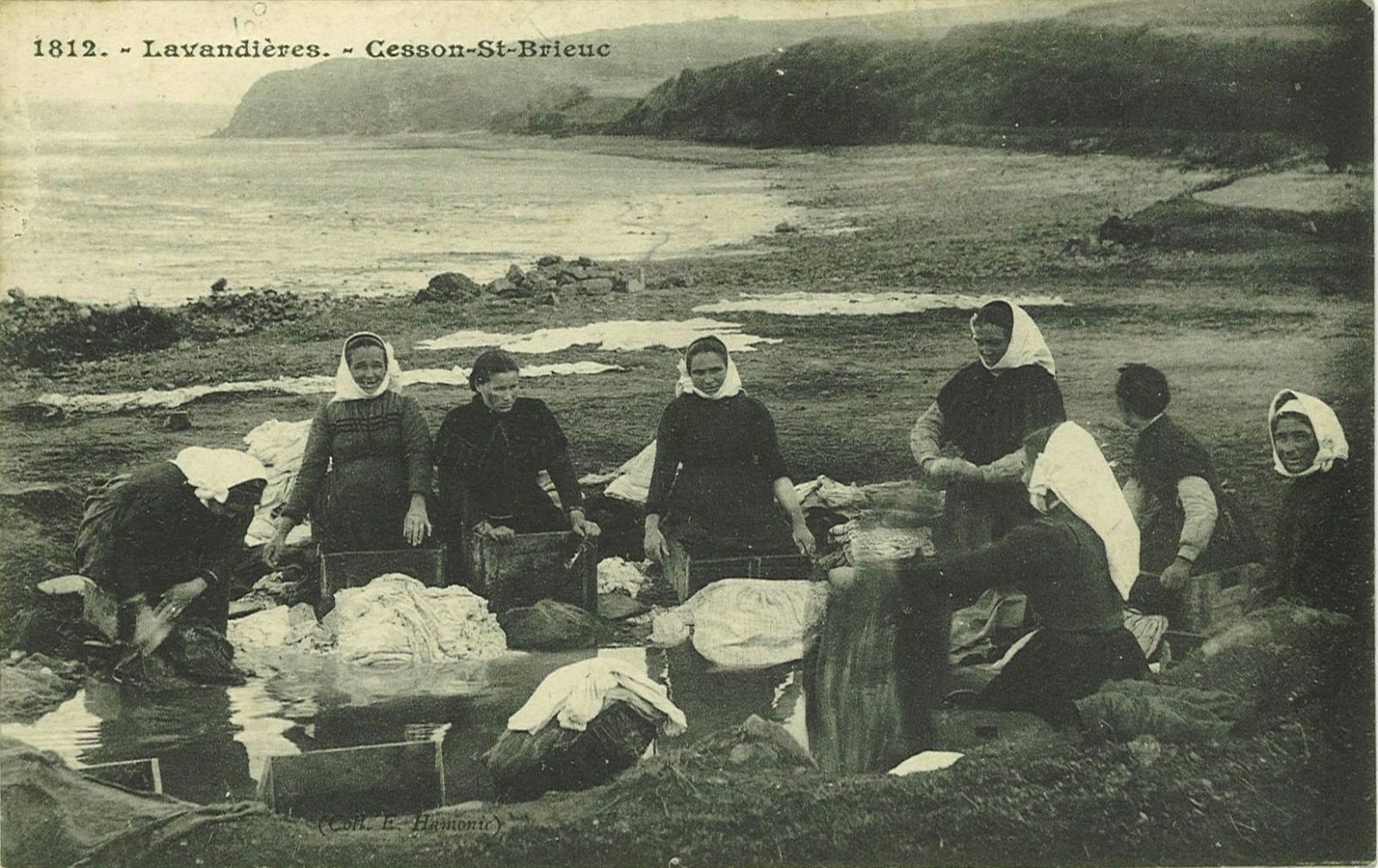 Lavandières- Cesson-St-Brieuc