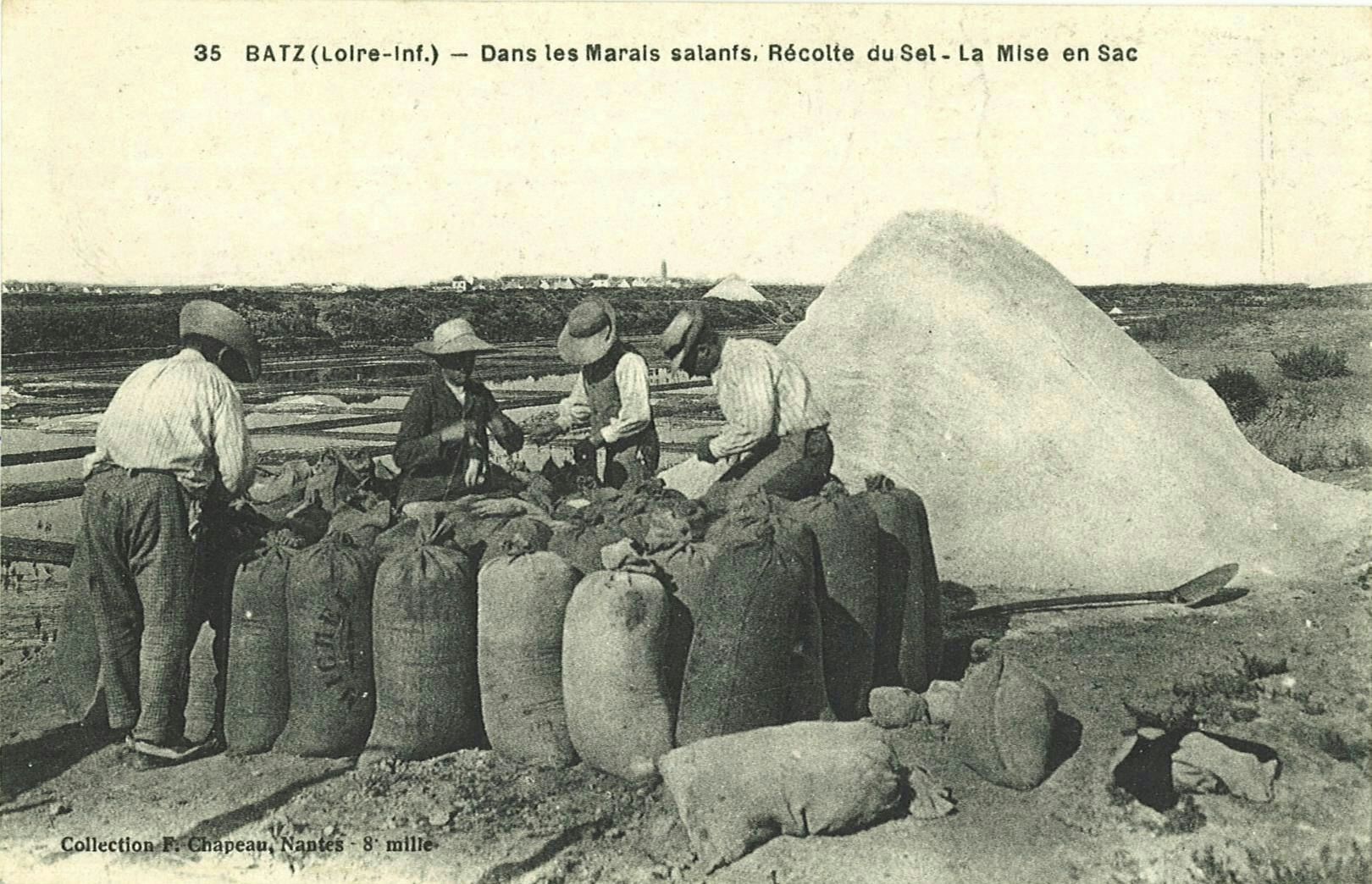 Dans les Marais salants Récolte du Sel - La Mise en Sac