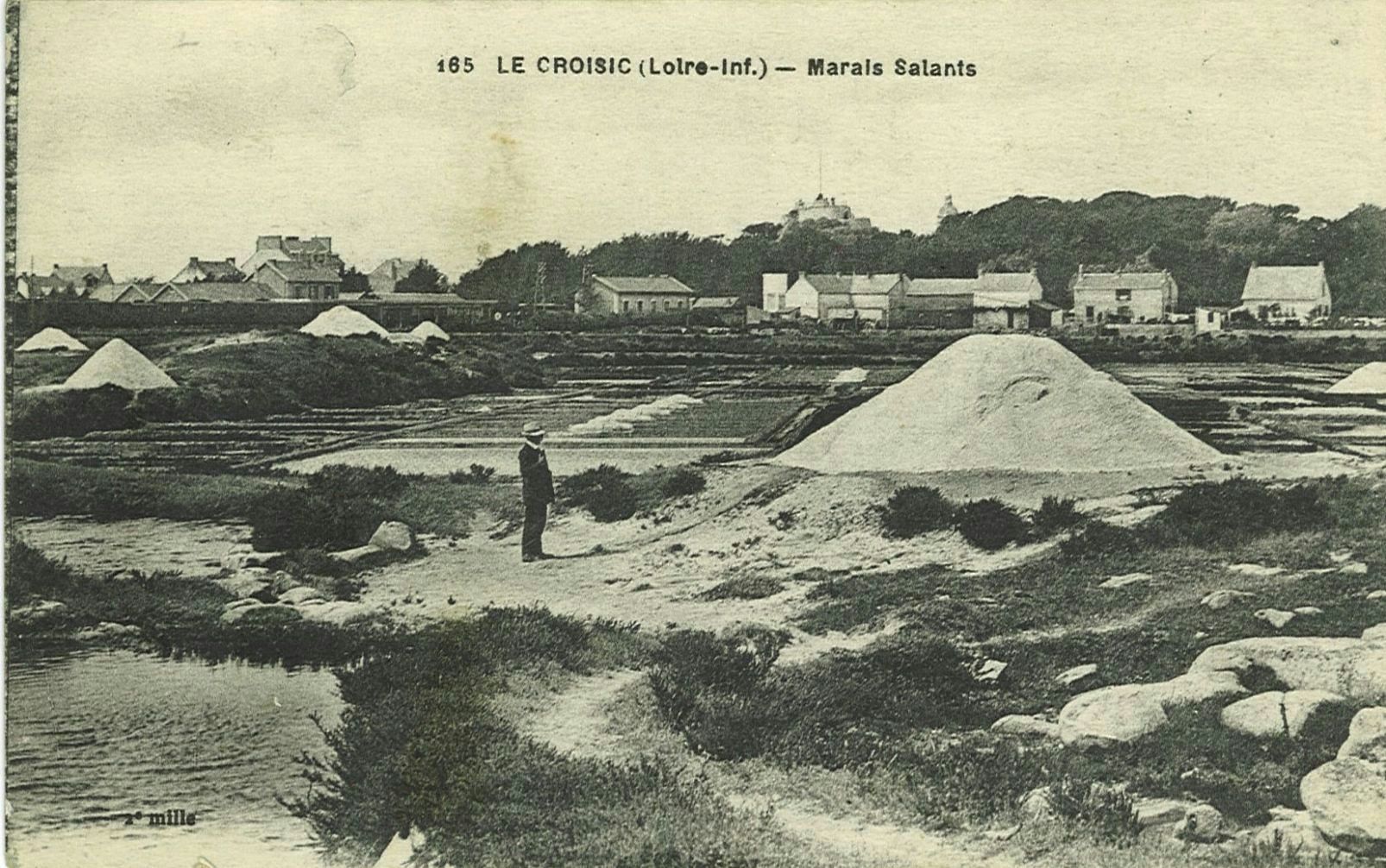 Marais Salants