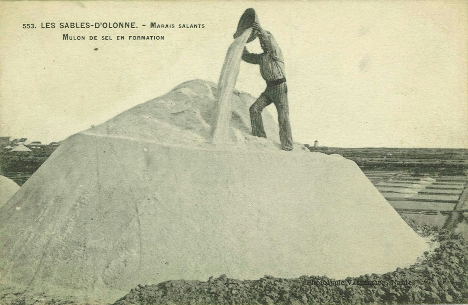 Marais salants - Mulon de sel en formation