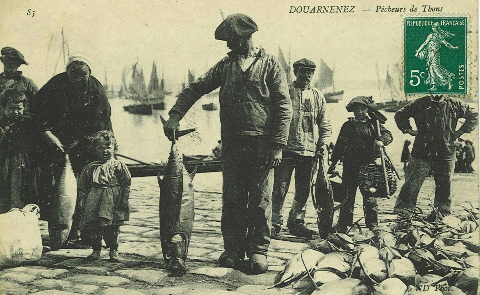 Pêcheurs de Thons