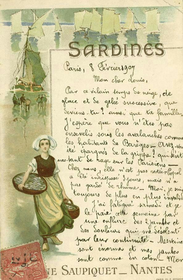 Sardines