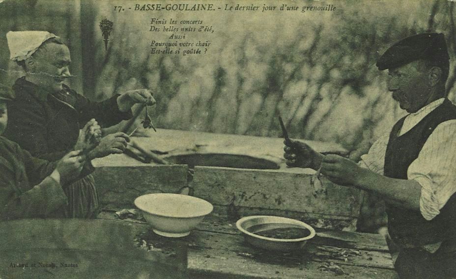 Le dernier jour d'une grenouille