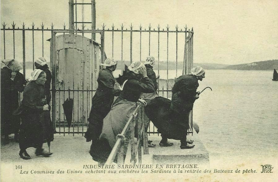 Les Commises des Usines achetant aux enchères les Sardines à la rentrée des Bateaux de pêche