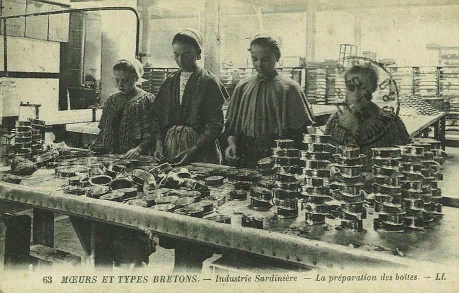 Industrie sardinière - La préparation des boîtes