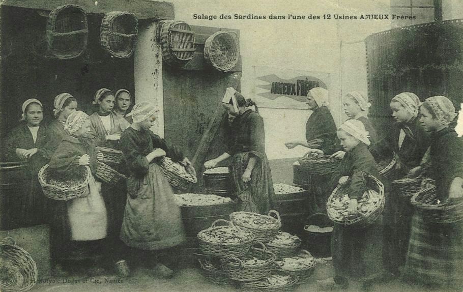Salage des Sardines dans l'une des 12 usines Amieux Frères