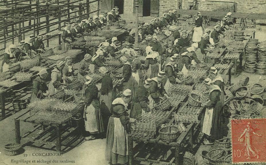 Engrillage et séchage des sardines