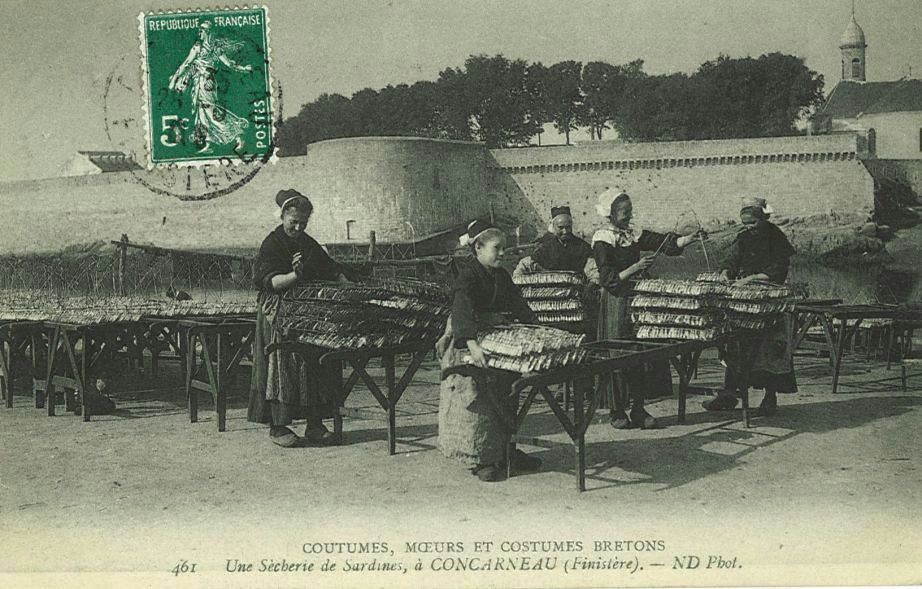Une Sècherie de Sardines à Concarneau