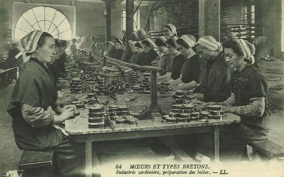 Industrie sardinière préparation des boîtes