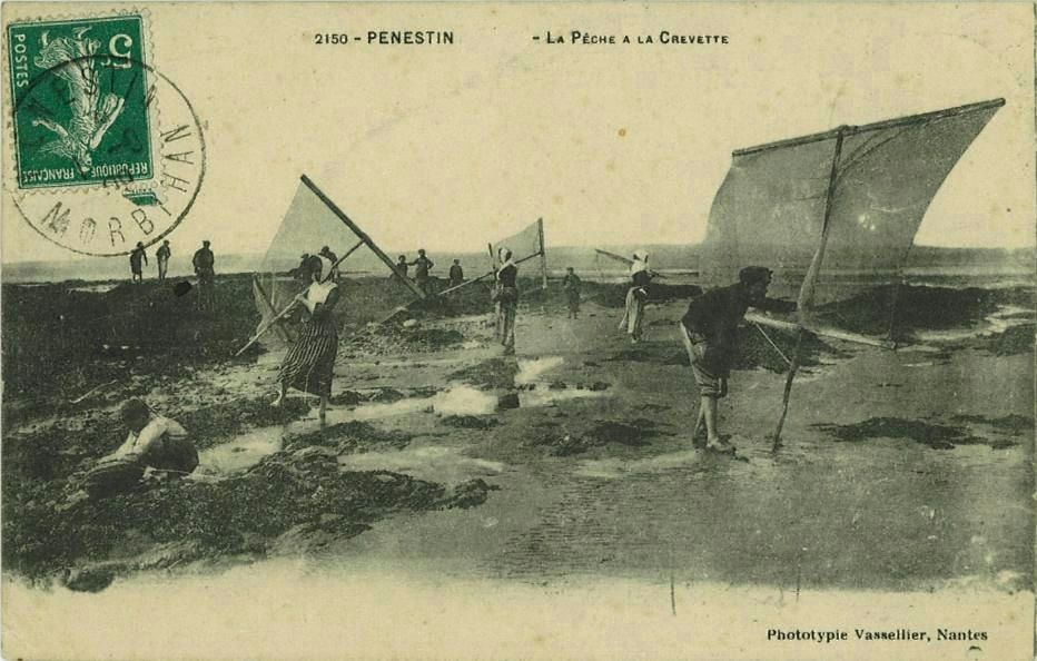 La pêche à la crevette