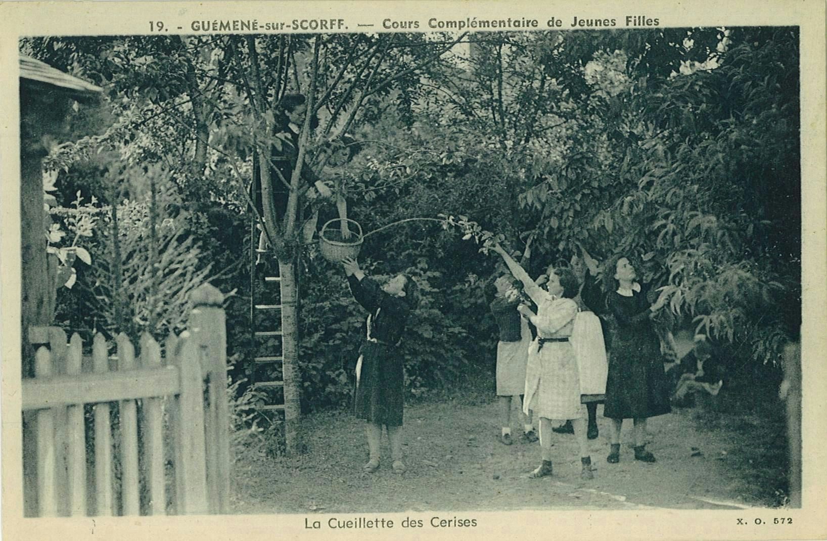 La Cueillette des Cerises