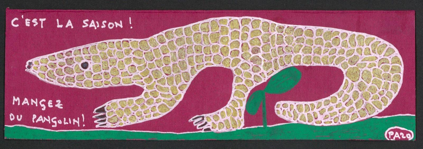 C'est la saison ! Mangez du pangolin