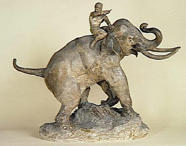 Eléphant monté par un indien