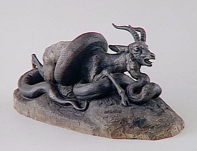 Serpent python enlaçant une gazelle