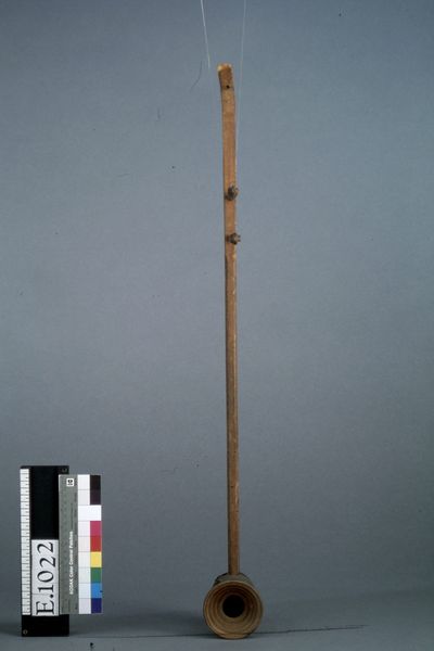 Vièle "dàn nhi"