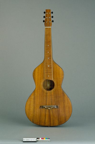 Guitare hawaïenne