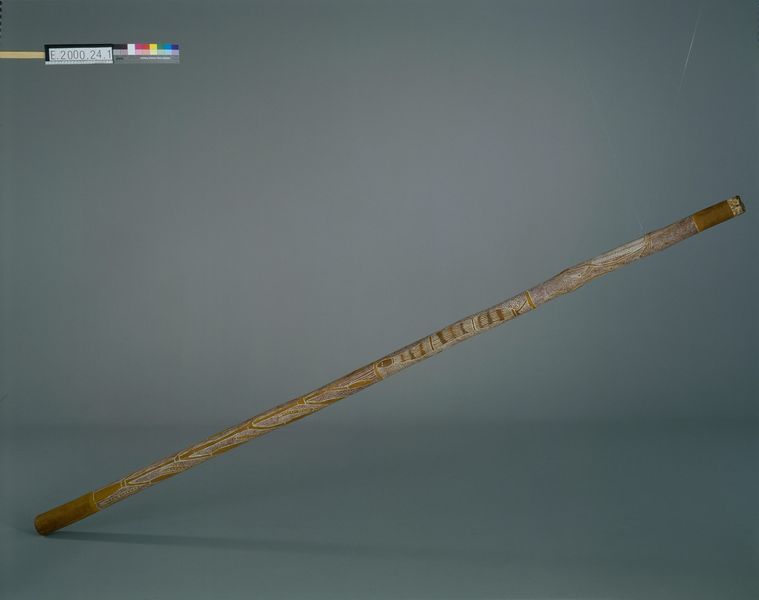 Trompe "didjeridu"