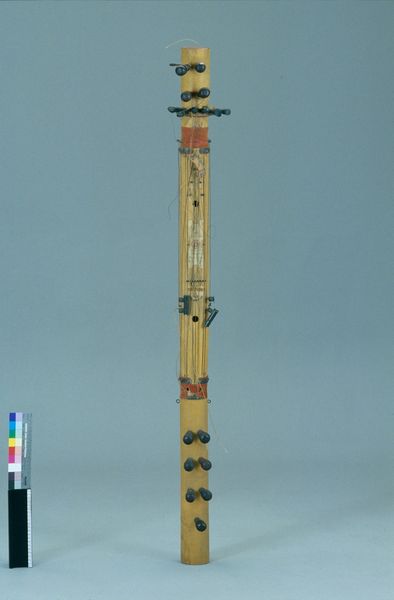 Cithare tubulaire "valiha"