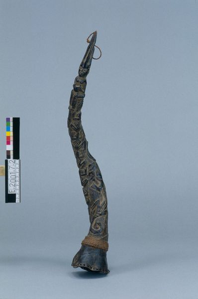 Trompe à embouchure latérale