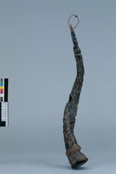 Trompe à embouchure latérale
