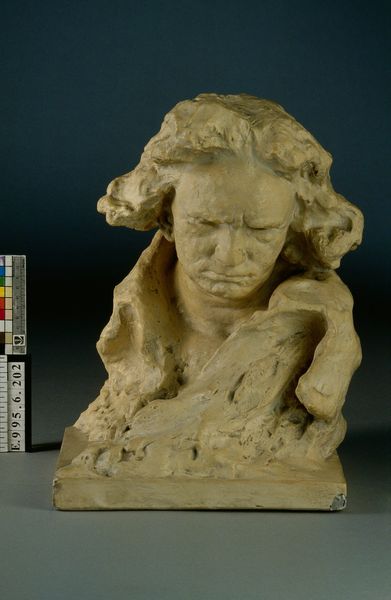 Buste de Ludwig van Beethoven (1770-1827)