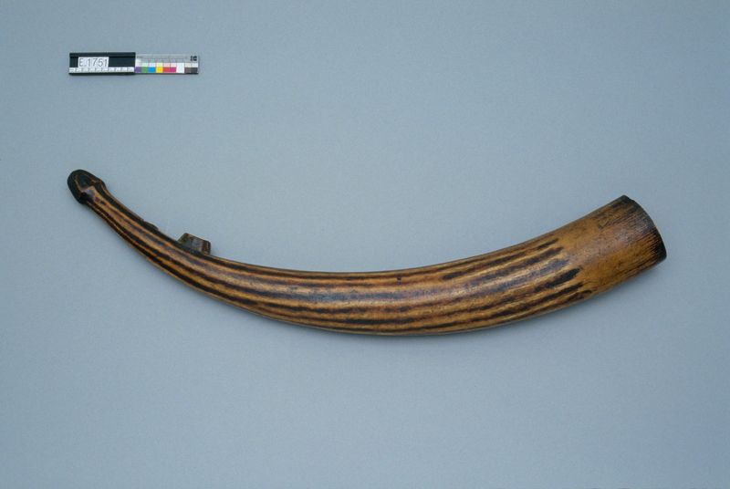 Trompe "oliphant"