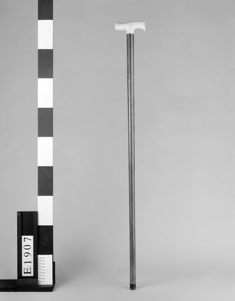 Canne de Gioacchino Rossini