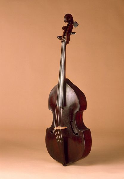 Ténor de viole