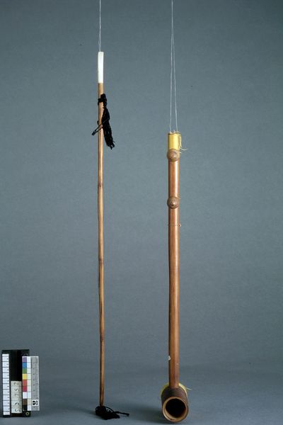 Vièle "erhu"