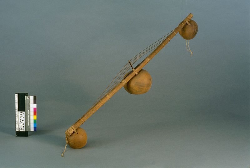 Cithare sur bâton "mvet"