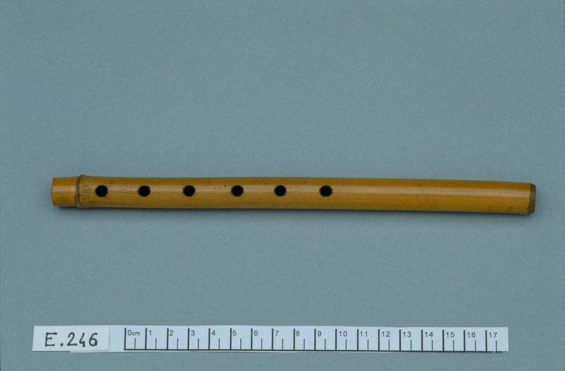 Flûte à embouchure terminale "djaouak"