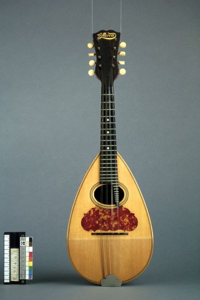 Mandoline napolitaine