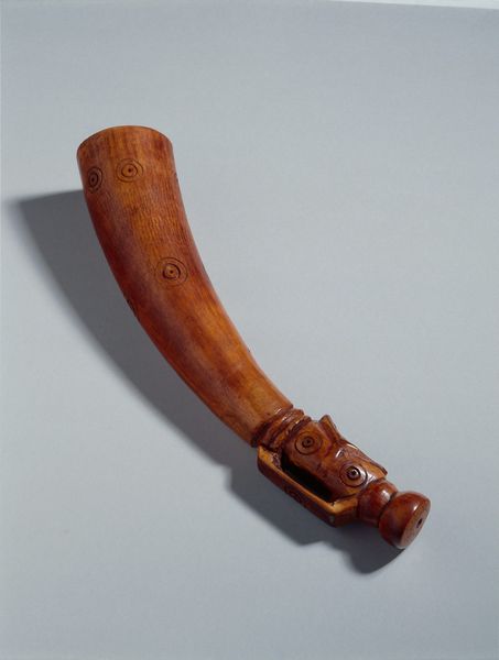 Trompe à embouchure latérale