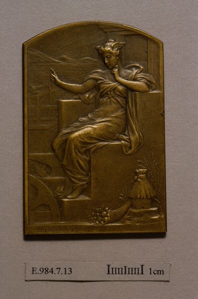 Médaille du Comité français des expositions à l'étranger en 1894