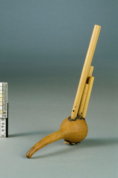 Orgue à bouche "sumpotan"