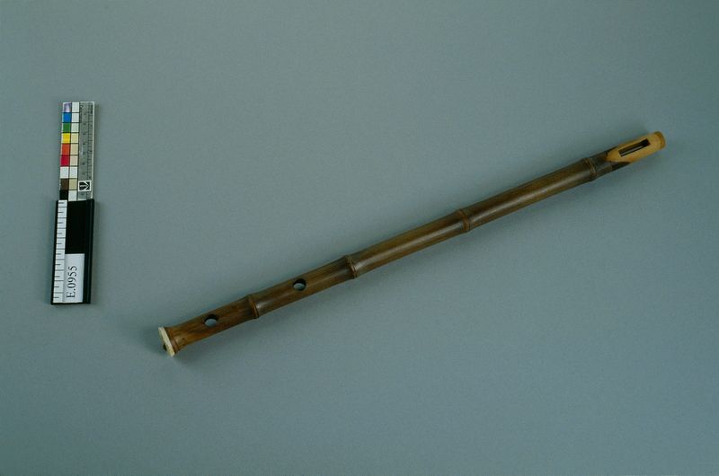 Manche de vièle "jinghu"