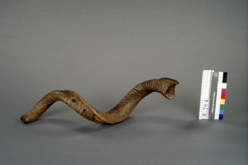 Trompe en corne de bélier "shofar"