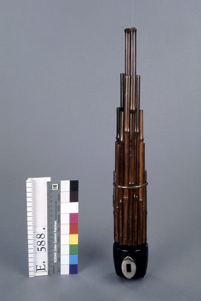 Orgue à bouche "sho"